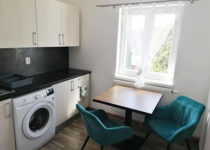 Zabela 69 아파트 플젠